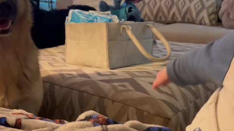 Pup Wants to Show His First Words Too