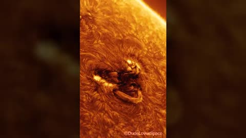 Compilation de l'activité solaire 2025 : éruptions, éjections coronales et pluies coronales...