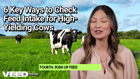 5 Key Ways to Check Feed Intake for High Yielding Cows