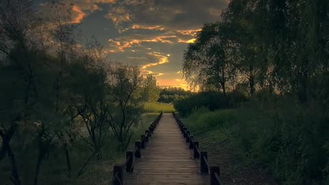 Untamed Earth: The Secrets of the Natural World