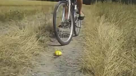 Running Over Lemons & Cucumbers with Bike