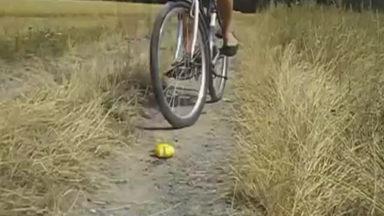 Running Over Lemons & Cucumbers with Bike