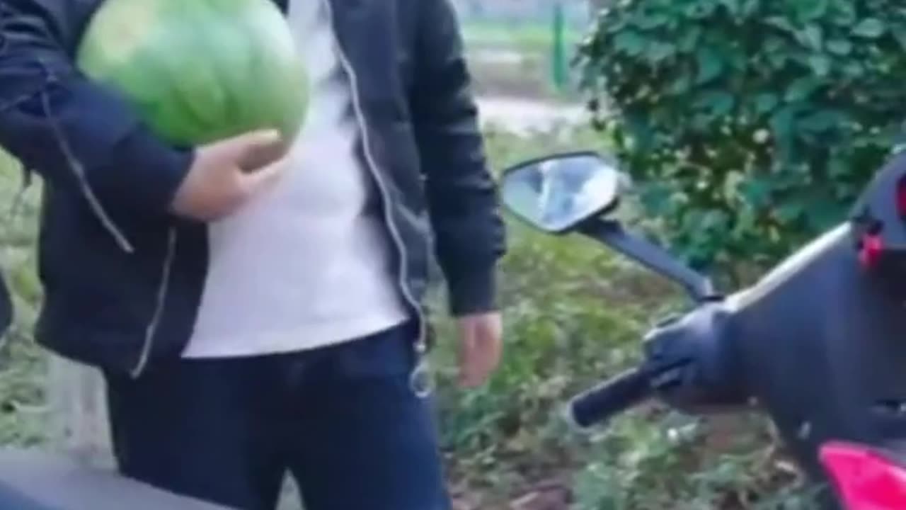 meme video complication #1