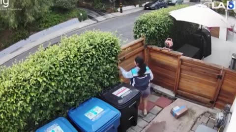 Amazon driver seen taking a dump on a Los Angeles homeowner's doorstep