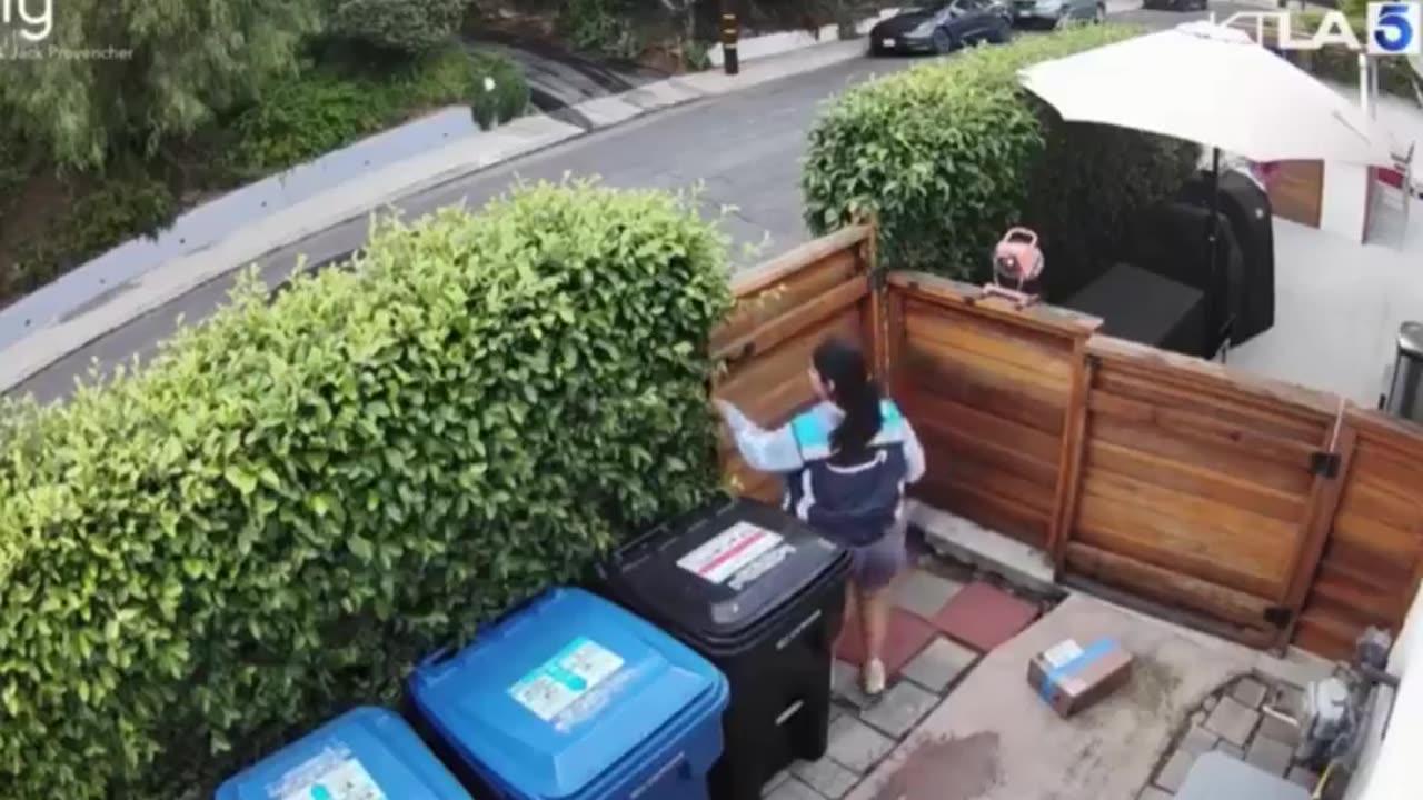 Amazon driver seen taking a dump on a Los Angeles homeowner's doorstep