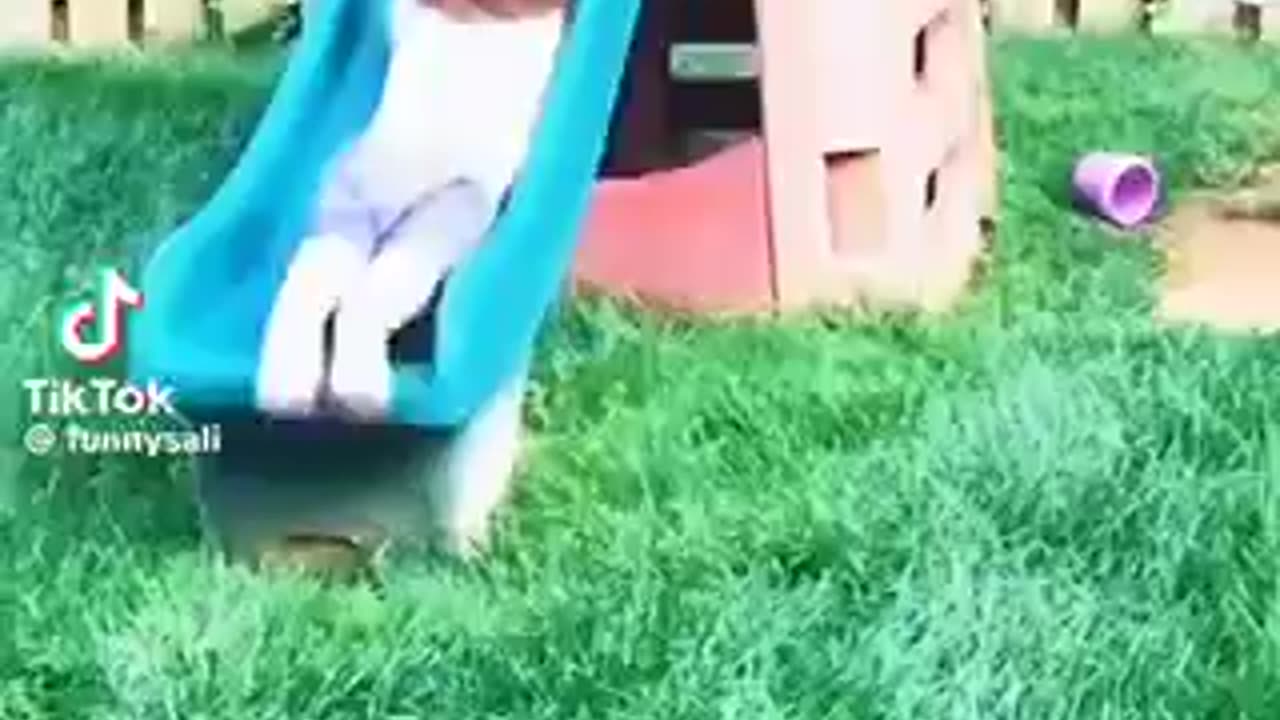 Best trending funny kid video