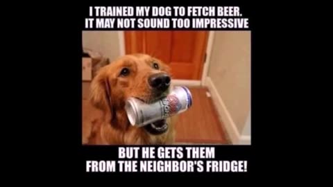 91625 Funny Laugh Out Loud Hilarious Memes Jokes Cartoons