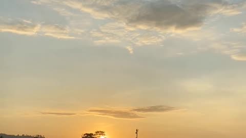 Daily Horoscope | Gemini 🌟