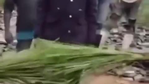 We invented lie detectors