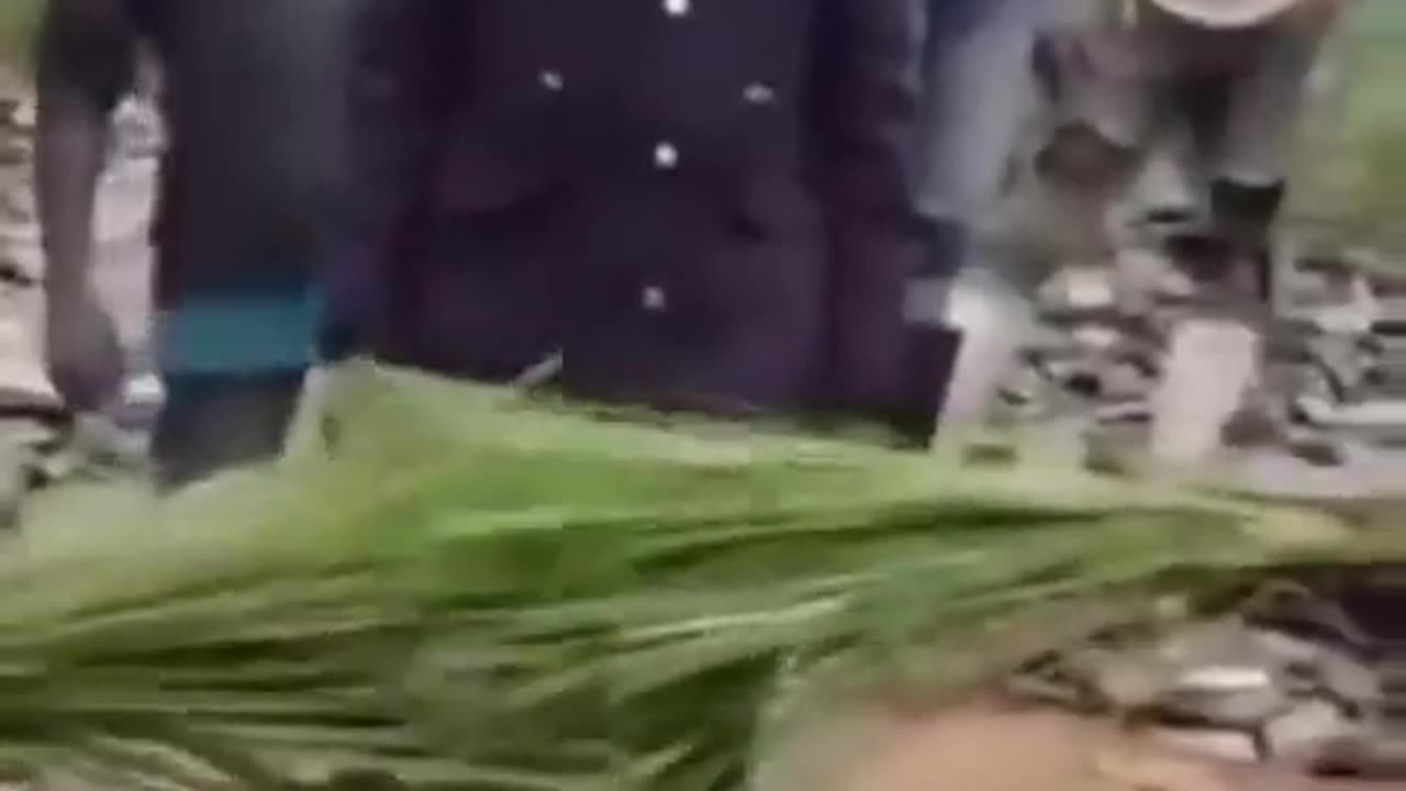 We invented lie detectors