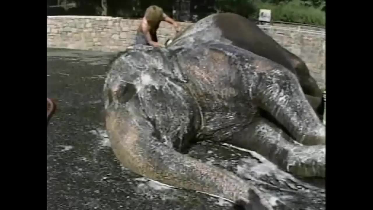 Classic Sesame Street Episode 3031