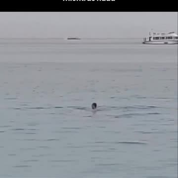 A man is really attacked by a shark on the beach in Egypt