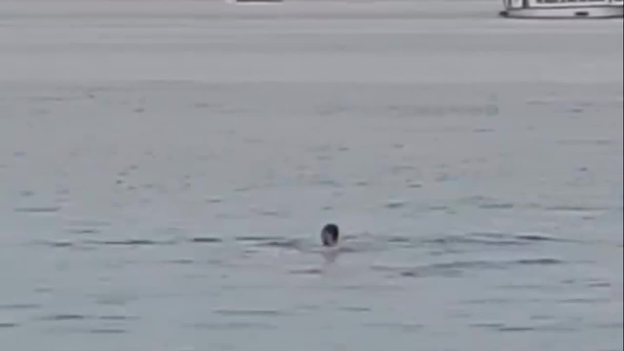 A man is really attacked by a shark on the beach in Egypt