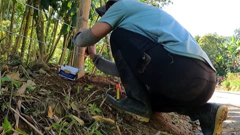 How We Built a Fence for Almost Nothing! Life in Colombia
