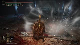 Elden Ring NG+1 | Grave Warden Duelist boss in Auriza Side Tomb, solo & no damage taken #eldenring