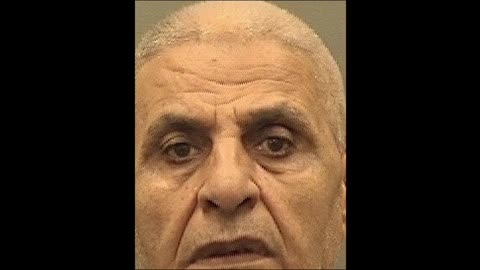 Egyptian Donkey Kicks CBP Dog at Dulles Airport