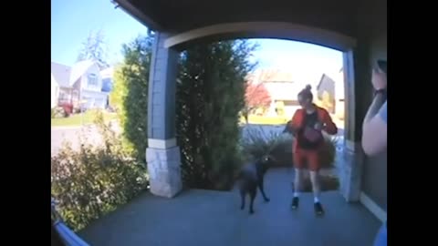 Funny animals 😻🐕🙀😻 2025