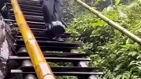 Very Funny 😂🤣🤣