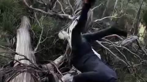 funny ai videos