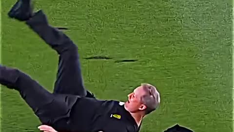 Funny cricket clips
