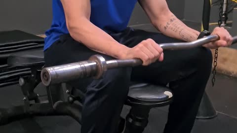 Barbell Reverse Wrist Curl Sitting / Rosca Punho Inversa Sentado
