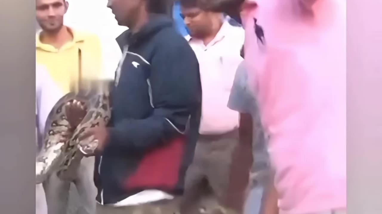 Clown World Compilation 3