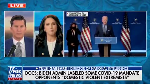 Tulsi Gabbard