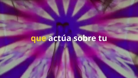 Símbolos de poder: Activa los códigos divinos y despierta tu conexión sagrada.