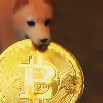 Which Coin Will Explode 1000x? Final Buy Showdown!