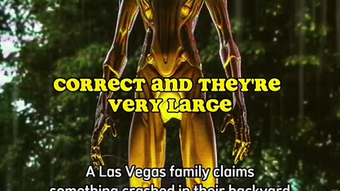 🛸😱 Las Vegas Crash: What Happened? | TheTruthAbove