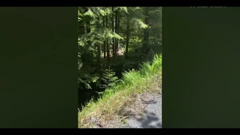 Mind Blowing Incident