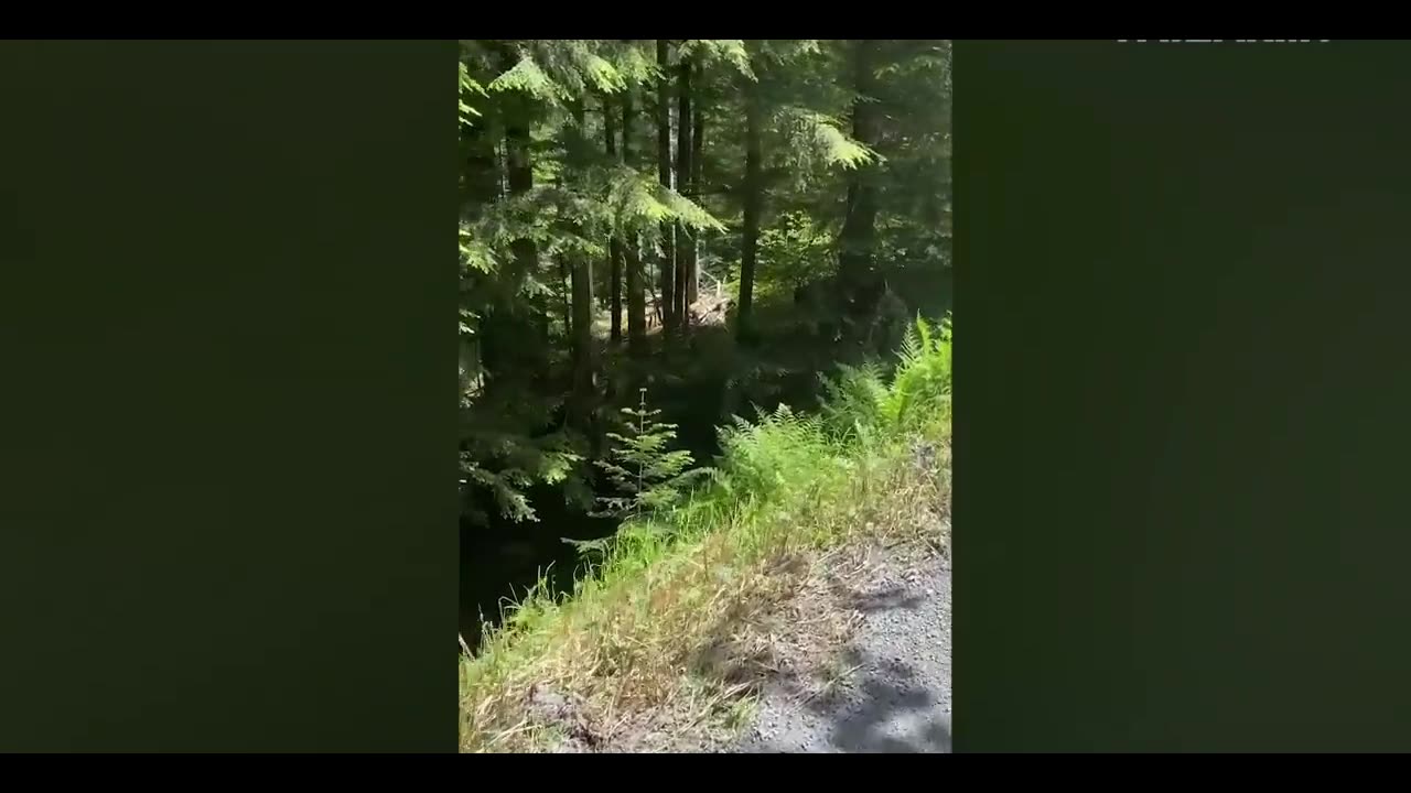 Mind Blowing Incident