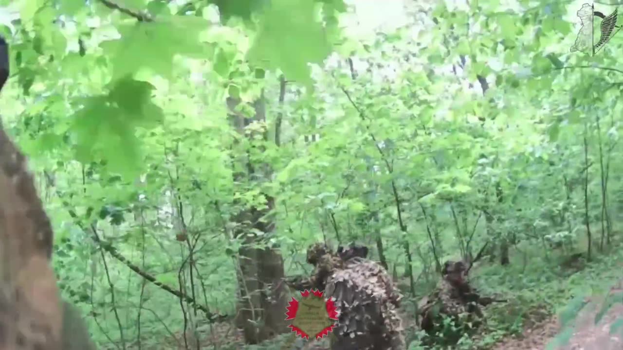Our sabotage and reconnaissance group ambushed a pig pickup