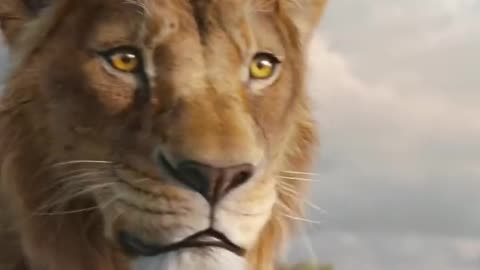 Mufasa 😍❤️ (Part - 25).....#reels #viralreels #reel #mufasa #animation #lastest #romantic #viralreel