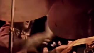 When Jimi Hendrix got banned from the BBC for stopping mid song