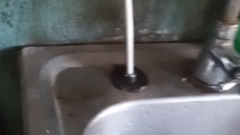 Weston Gregory filling champagne Glass with Irish Moss