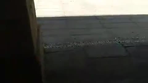 Directo:"De paseo con la Bruja Piruja (Cáceres, Extremadura, Spain, 27-7-25