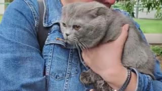 🐾💥 Ukraine Russia War | Kyiv Animal Rescue Amidst Deadly Air Strikes | RCF