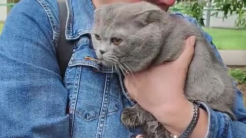 🐾💥 Ukraine Russia War | Kyiv Animal Rescue Amidst Deadly Air Strikes | RCF