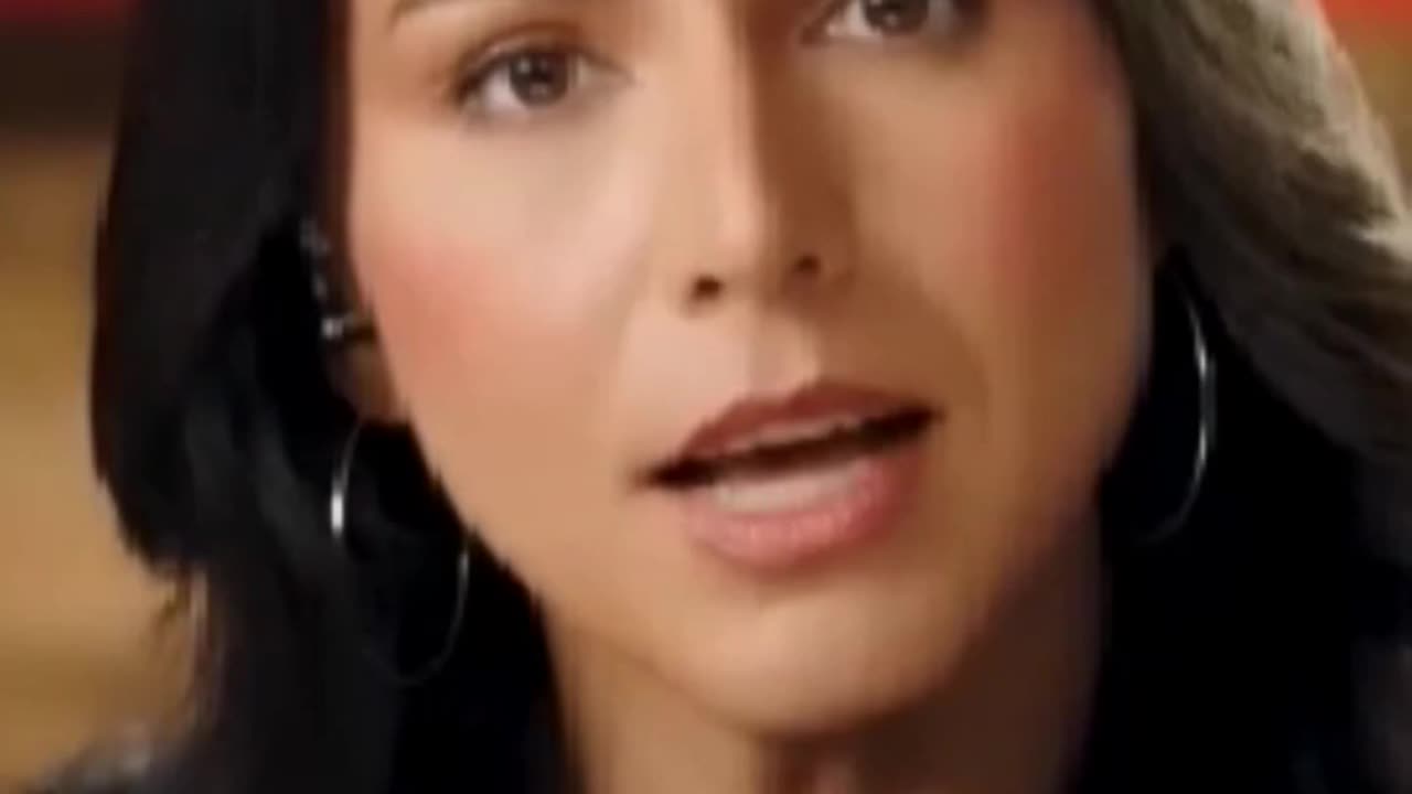 Tulsi Gabbard -- Rigging Primaries #tulsigabbard #jordanpeterson