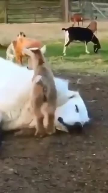 When your customers appreciate you 😊