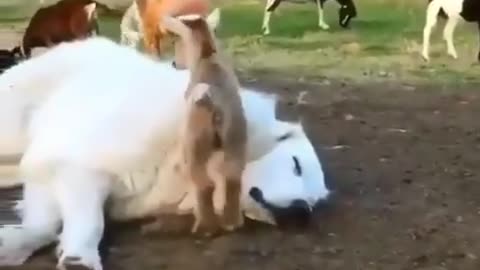 When your customers appreciate you 😊