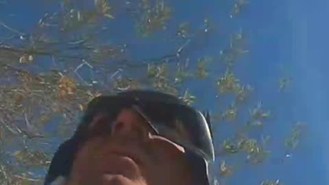 Batman Is The Enforcer Of Divine Law 🦇