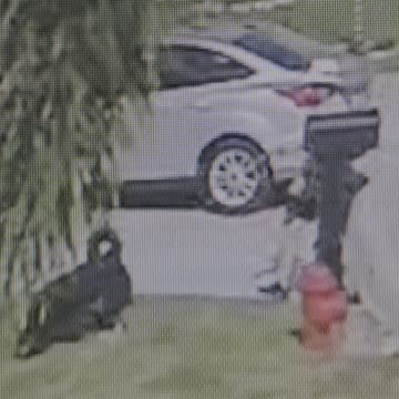 walking on grass with dog