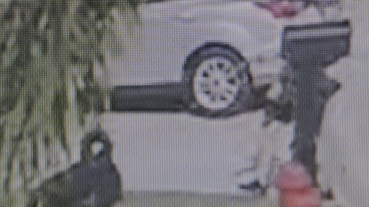 walking on grass with dog