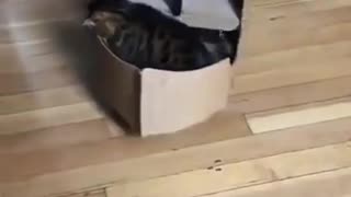 News Break