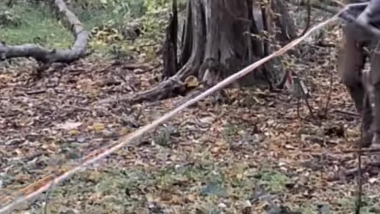 Building a secure shelter under my tree with a fireplace inside