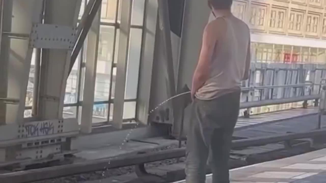 This is Berlin. Doctor or engineer?