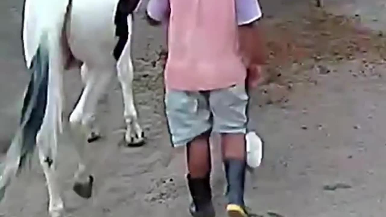 Best Funny