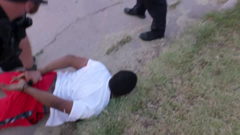 COPS S36E28 Tazed and Confused
